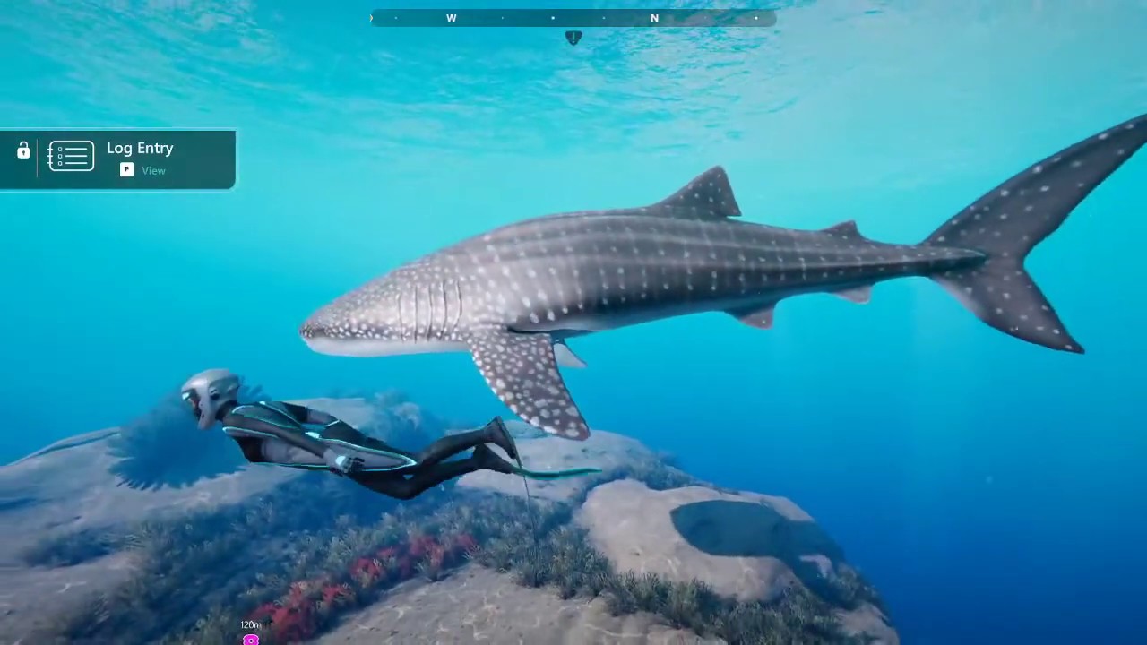 Swimming with Sharks and Whales - Let's Play: Beyond Blue (Full Playthrough)