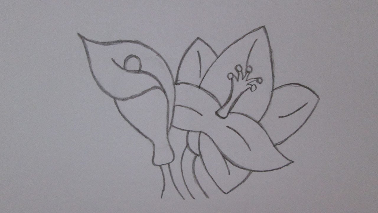 Como desenhar flores