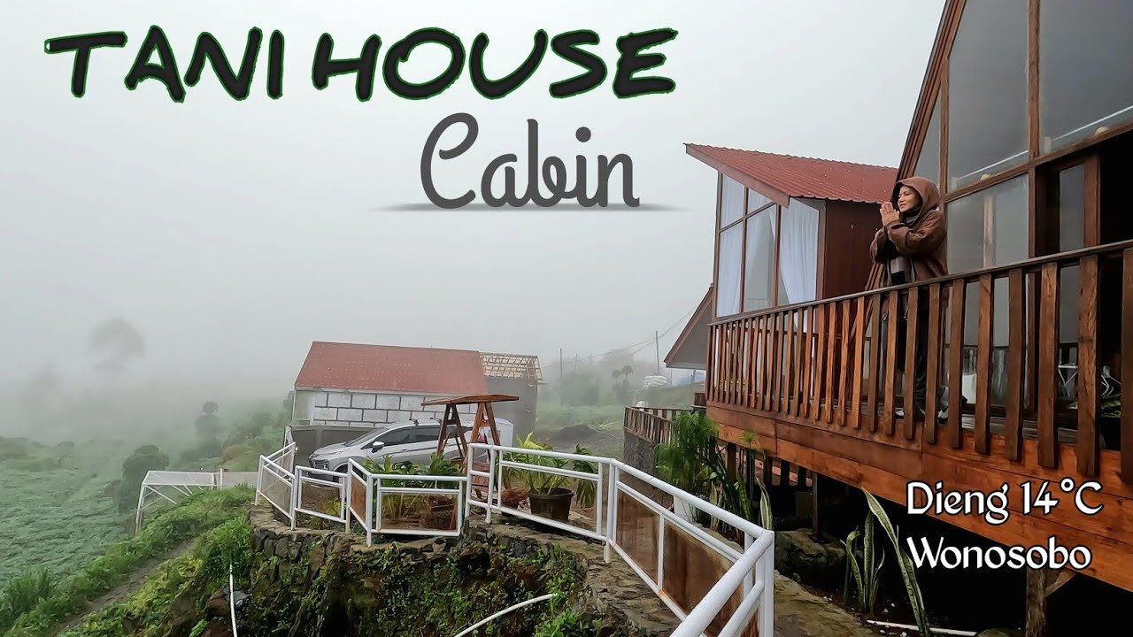 Tani House Cabin | Dieng Wonosobo | Review Penginapan
