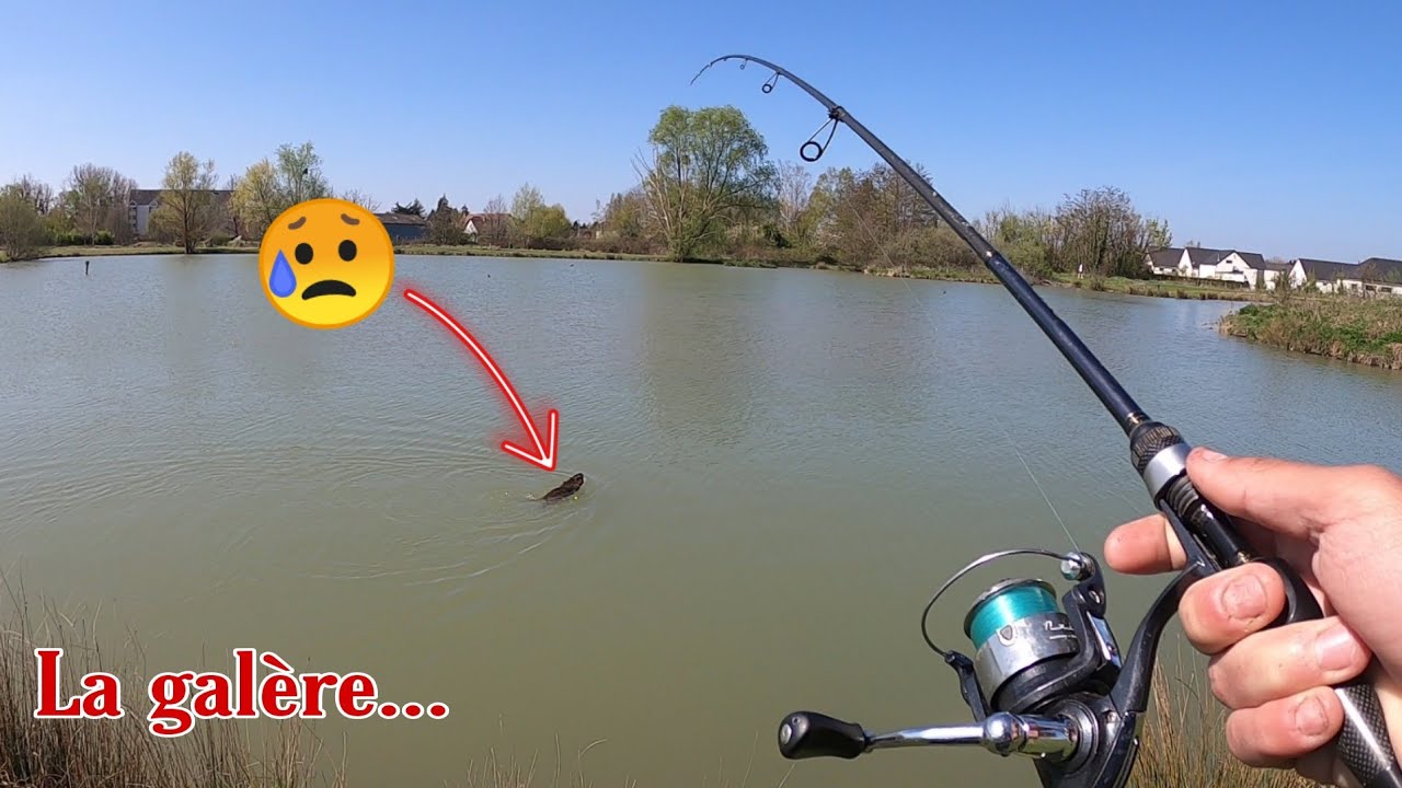 UN RAT SE PREND DANS MA LIGNE... Pêche au bouchon !