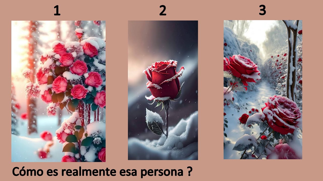 Cómo es realmente esa persona?