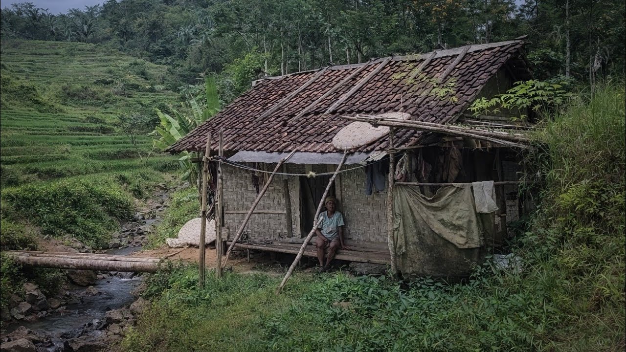 PASUTRI PEMBERANI.. BERTAHAN HIDUP DI GUBUK KECIL DALAM HUTAN PINGGIR SUNGAI 