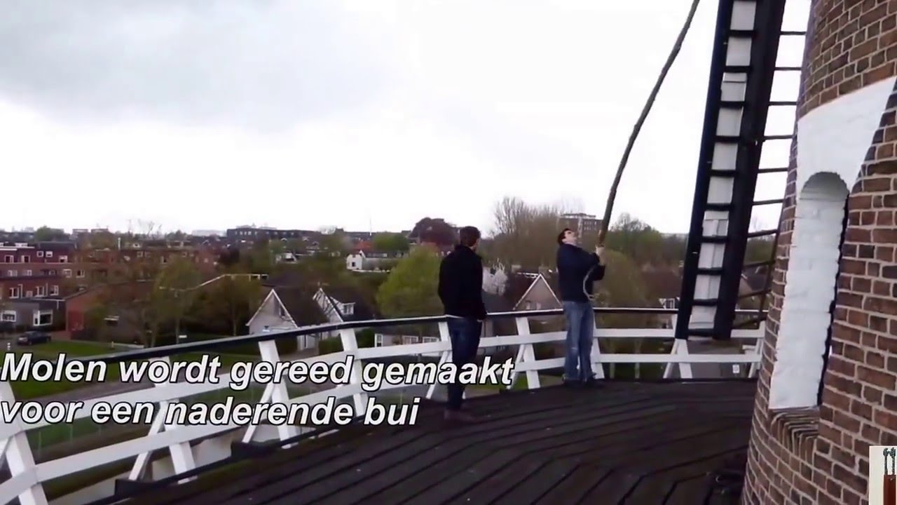 Molen 