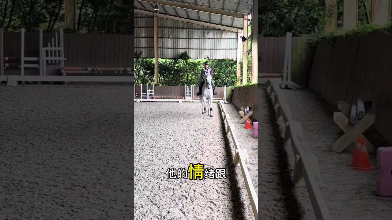 馬要在放鬆的狀態下訓練，肌肉才會長漂亮喔🤩👍🏻👍🏻👍🏻 #楊宏宇教練 #格林馬術中心 #騎馬 #馬術 #騎馬場 #馬術課程 #馬術教學 #淡水馬場 #淡水景點