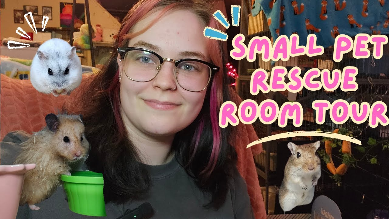 Small Pet Rescue Room Tour!🐇🐀🐹