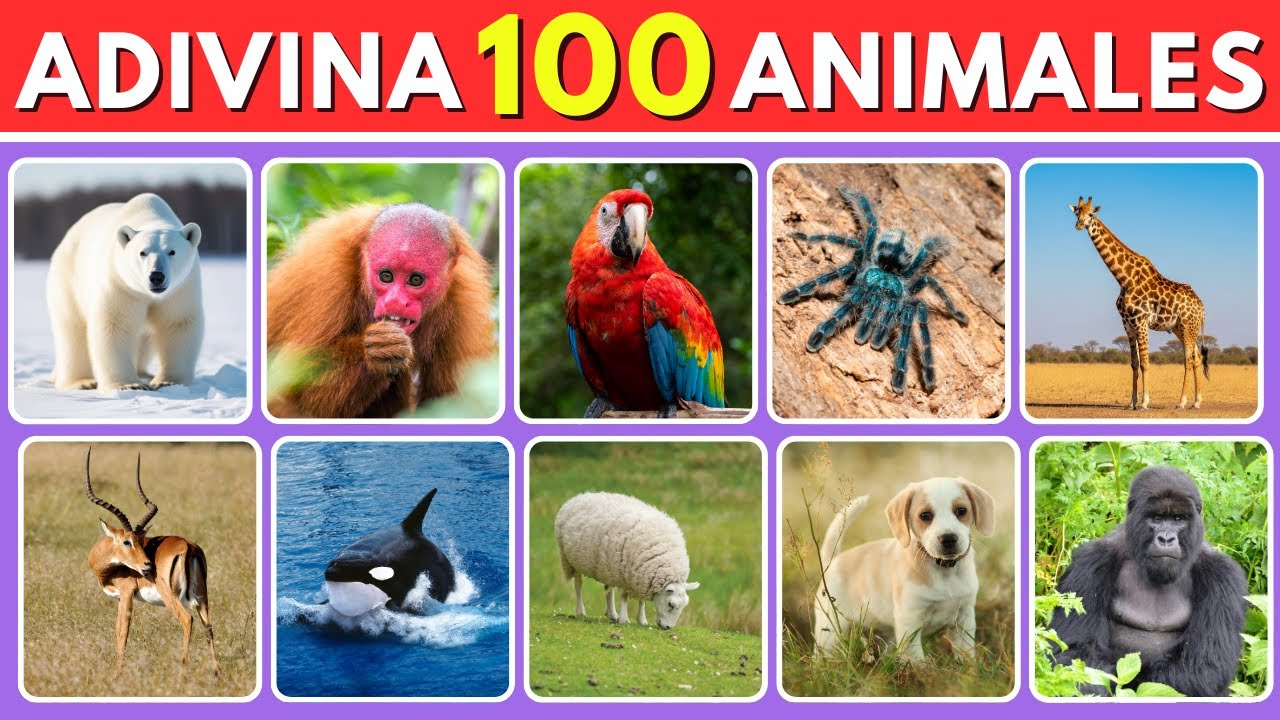 😱🐾 ¿PUEDES ADIVINAR 100 ANIMALES en SOLO 3 SEGUNDOS? | QUIZ EXTREMO