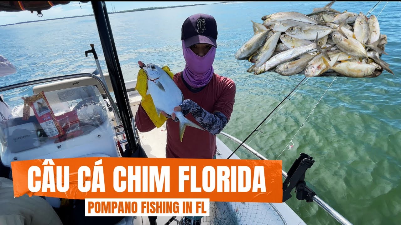 POMPANO FISHING IN FLORIDA - MÙA CÂU CÁ CHIM BIỂN FLORIDA