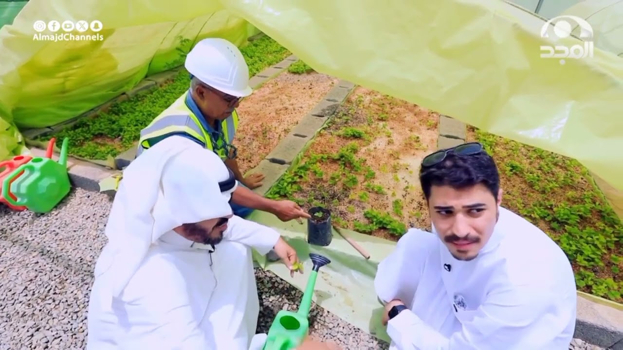 كيف تمر العملية الزراعية بمراحل الزراعة والإنبات، ثم العناية بالشتلة، ونقلها إلى الأرض الدائمة!