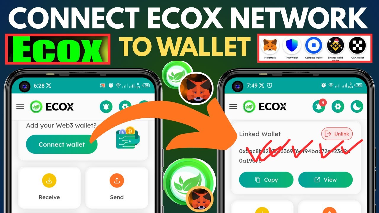 Connect Ecox Network to Wallet | MetaMask, Trust Wallet, Binance & OKX Setup 