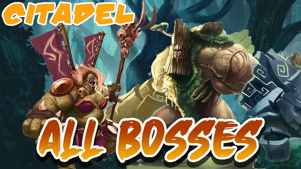 Sacred Citadel  + DLC - All Bosses + Ending