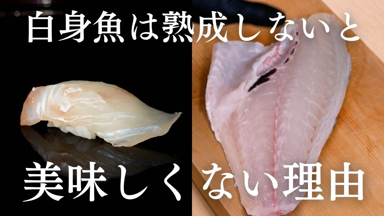 鮮度が寿司の邪魔をする？白身魚は熟成してこそ寿司になる本当の理由