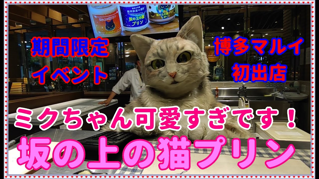 【期間限定イベント】坂の上の猫プリン〜アルバイト猫ミクちゃんに会いに行ってきた💗