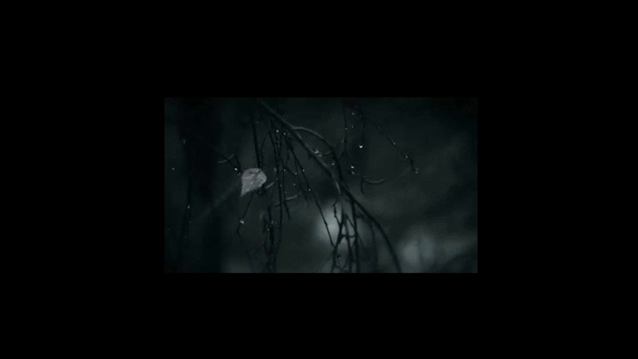 teen suicide - if i cleaned everything﹝slowed + reverb﹞