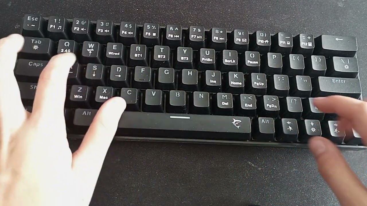 unboxing white shark Kaikan