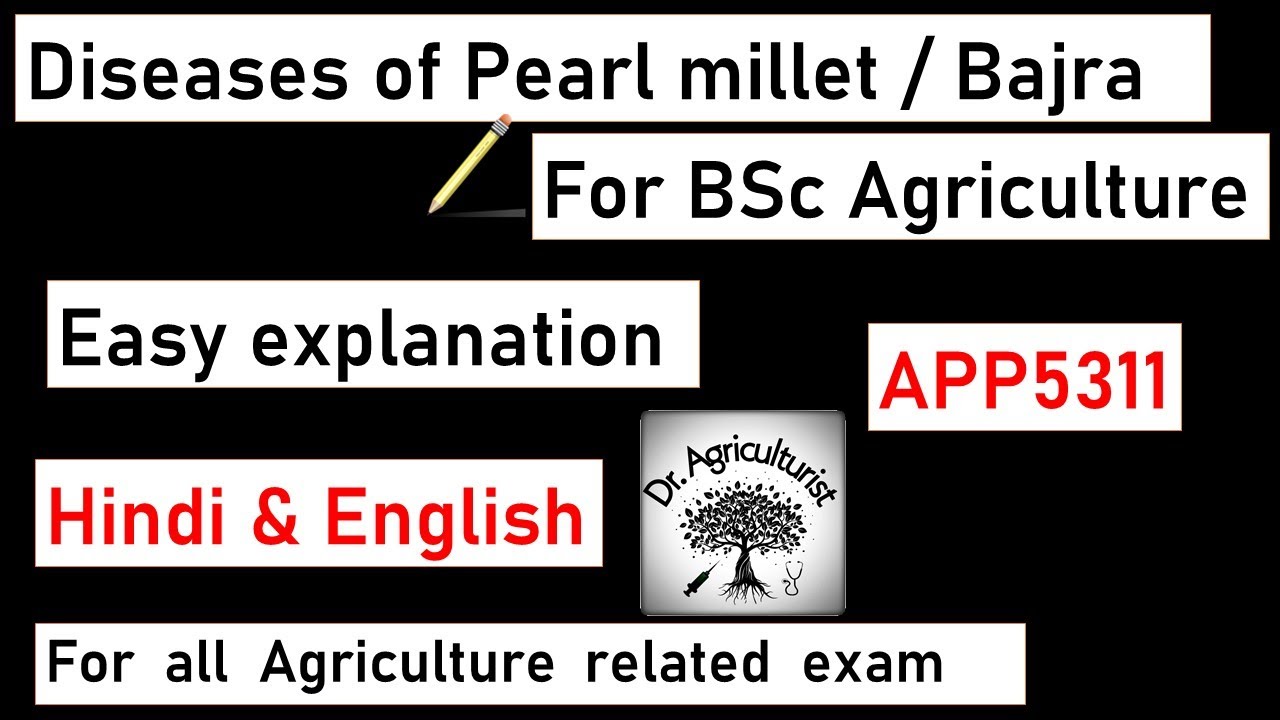 L7 | Diseases of Pearl millet | Bajra downy mildew/ Green ear | Bajra Ergot | management of diseases