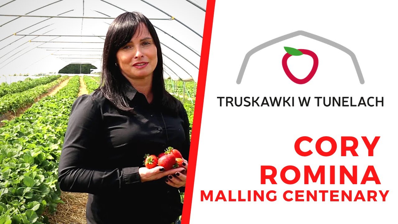Cory, Romina i Malling Centenary w projekcie Truskawki w tunelach