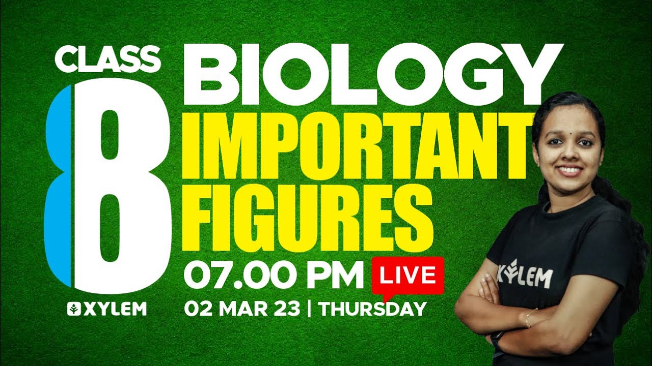 Class 8 Biology - Important Figures | Xylem Class 8