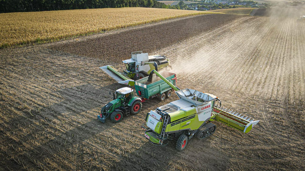 Napraforgó aratás 2021 🌻 Claas Lexion 760TT + 7600 | 2x Sunspeed 12.75 | ZOM KFT.