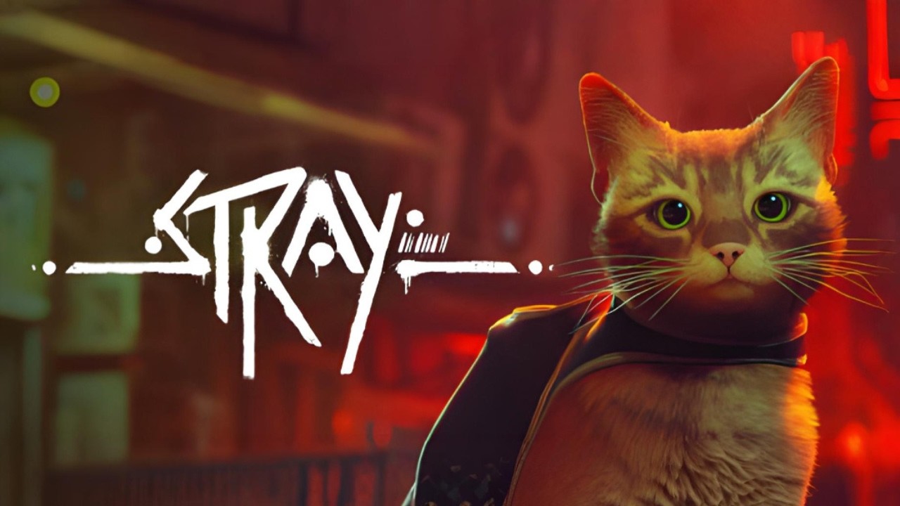 GAMEPLAY AO VIVO! 🛑 TERROR DA MADRUGADA - STRAY