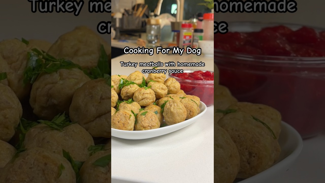 I made turkey meantballs for my dog for Thanksgiving #shorts #asmr #homemadedogfood