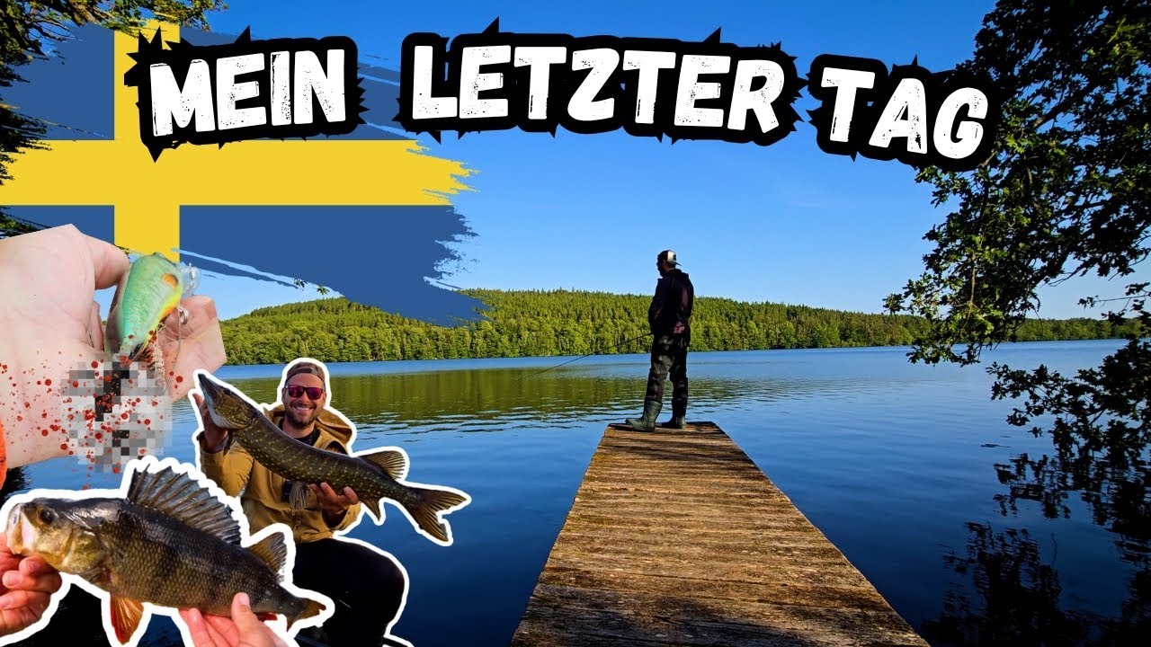 4 Wochen Angeln in Schweden +Alle Highlights - Meine Erste Campertour