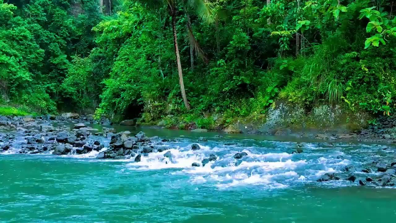 Relaxing Sounds For Sleeping - Tranquil River - Forest Scene For Meditation & Relaxation