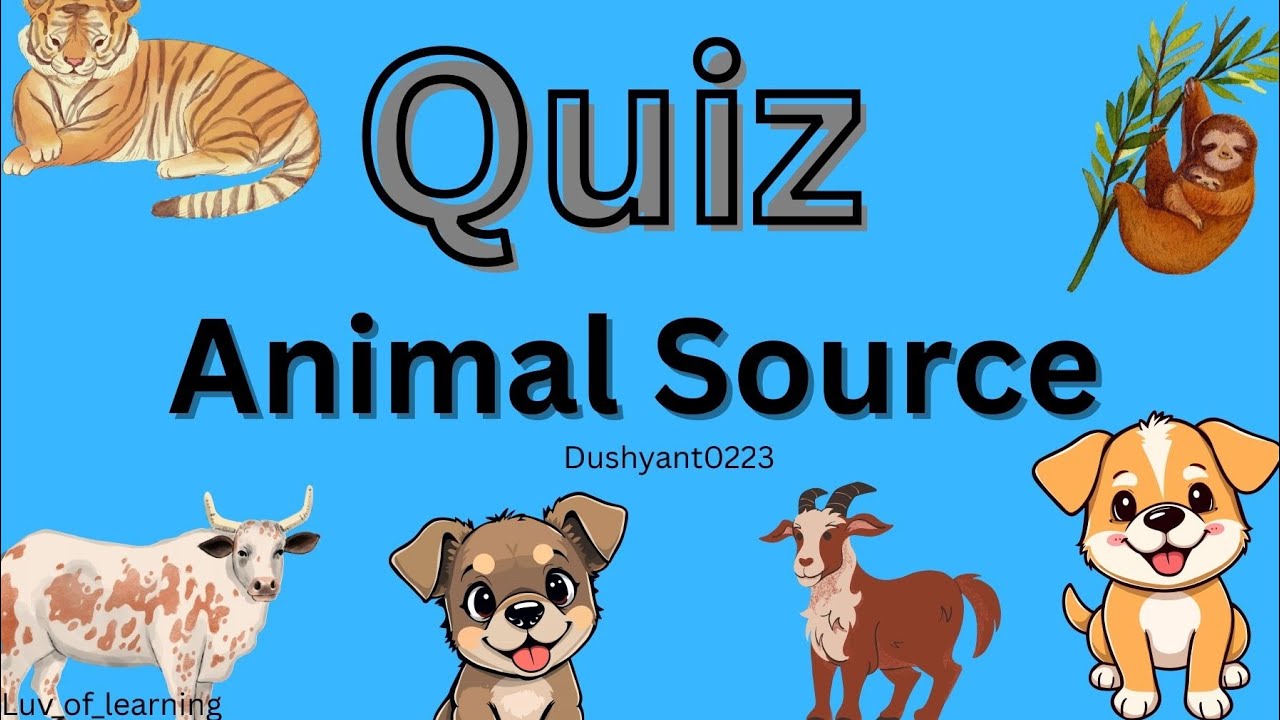 Animal Source Quiz | Guess the Source of Products from Animals 🐄🥚#animalriddles 