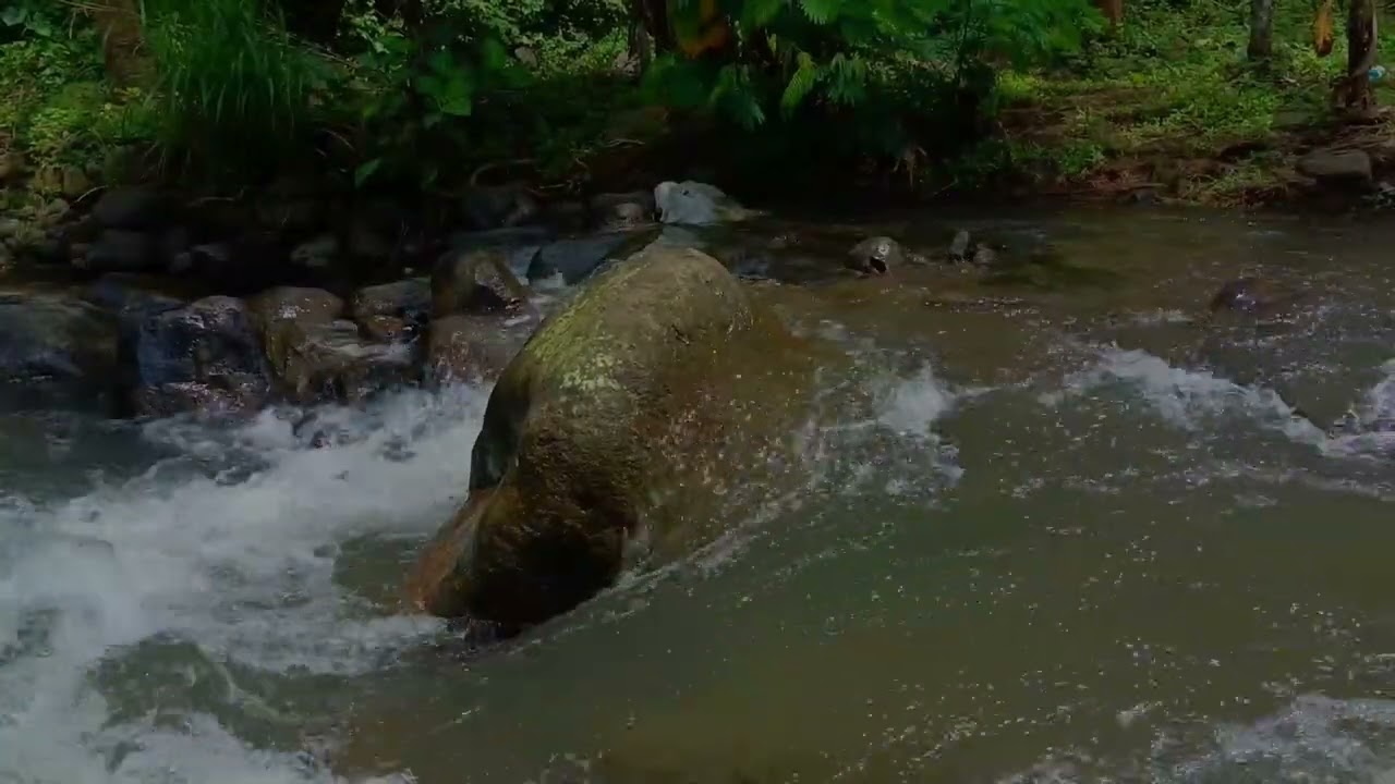 Flowing Water Whisper for Deep Rest