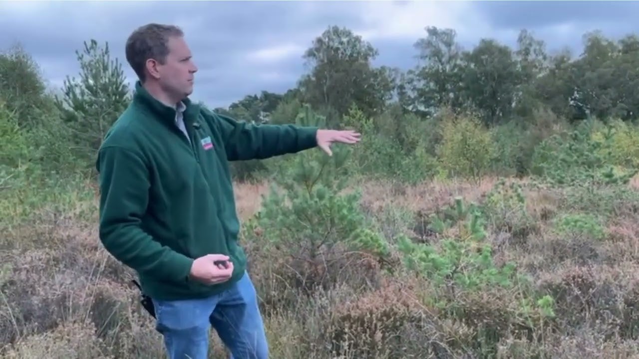 A Guide to Winter Works on Ashdown Forest