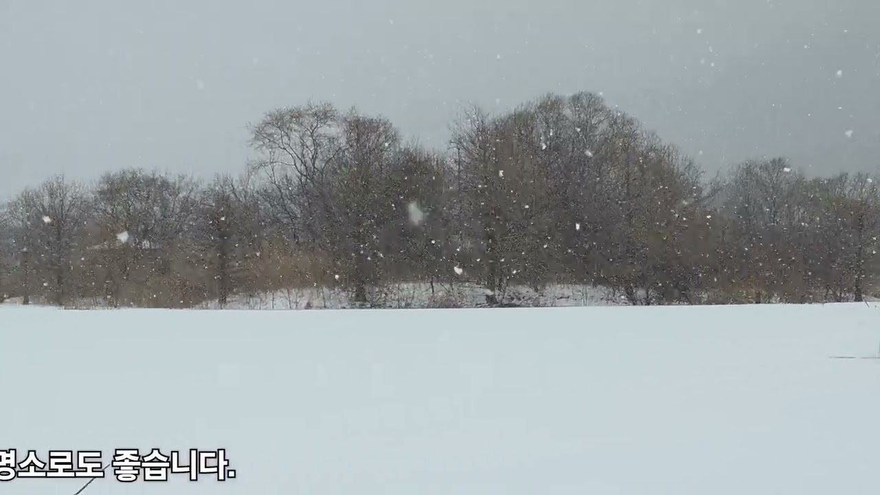 #눈내리는 날 산책 #진안주천생태공원 #겨울풍경 #진안 가볼만한 곳