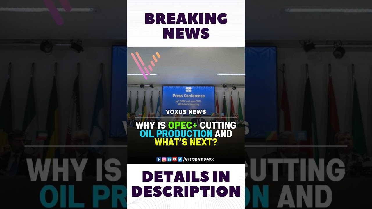Why is OPEC+ cutting oil production and what&rsquo;s next?