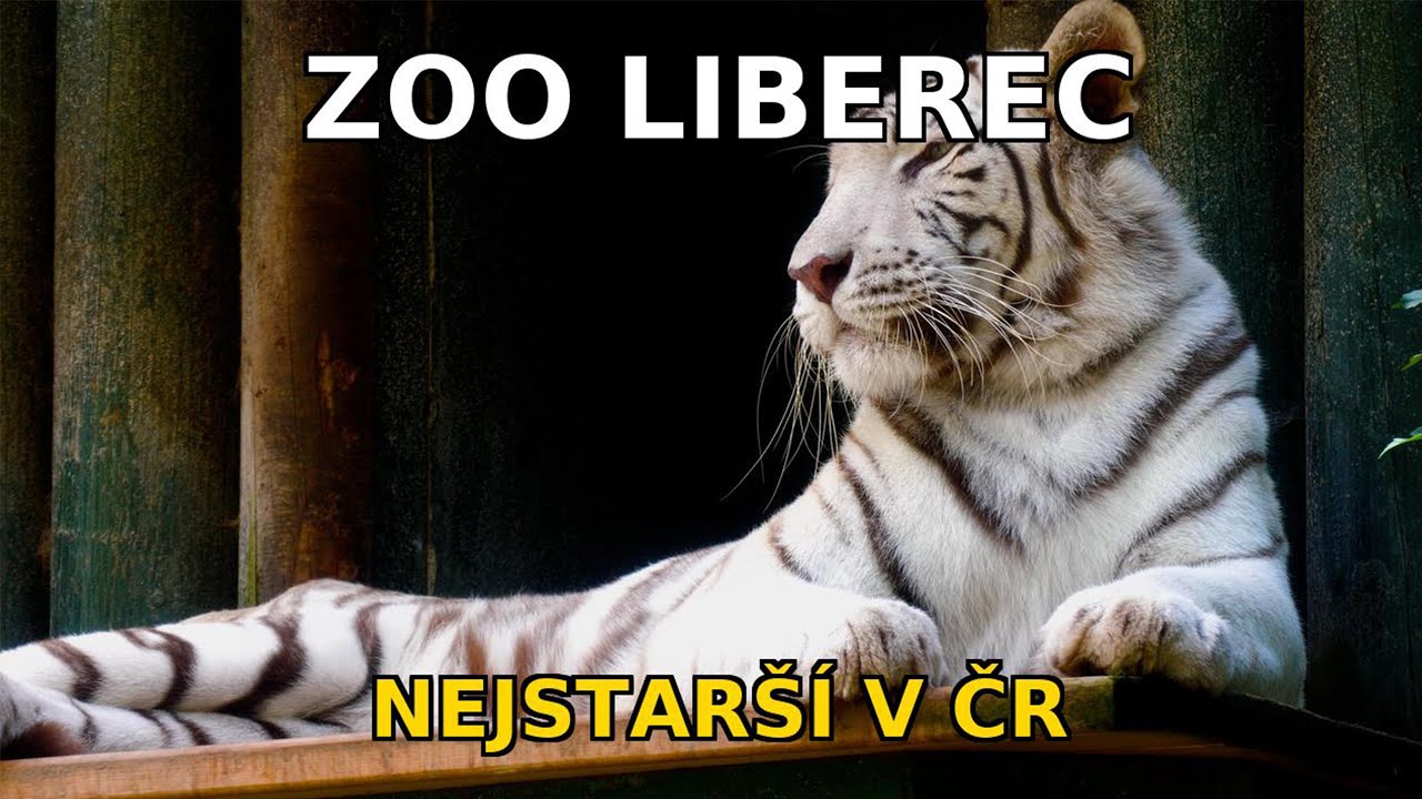 🌿 ZOO Liberec – nejstarší zoologická zahrada v České republice