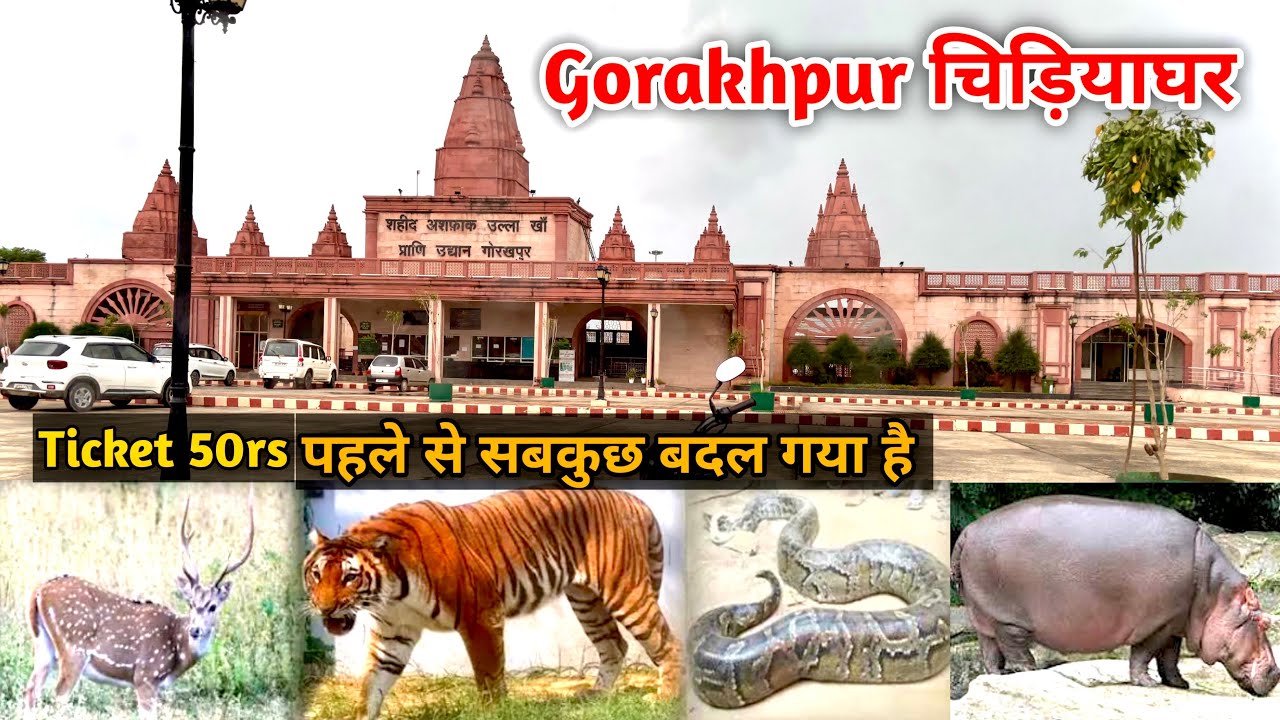 Gorakhpur Zoo | Gorakhpur Chidiya Ghar | गोरखपुर चिड़ियाघर | Zoo Full Video @abhishekghumantu