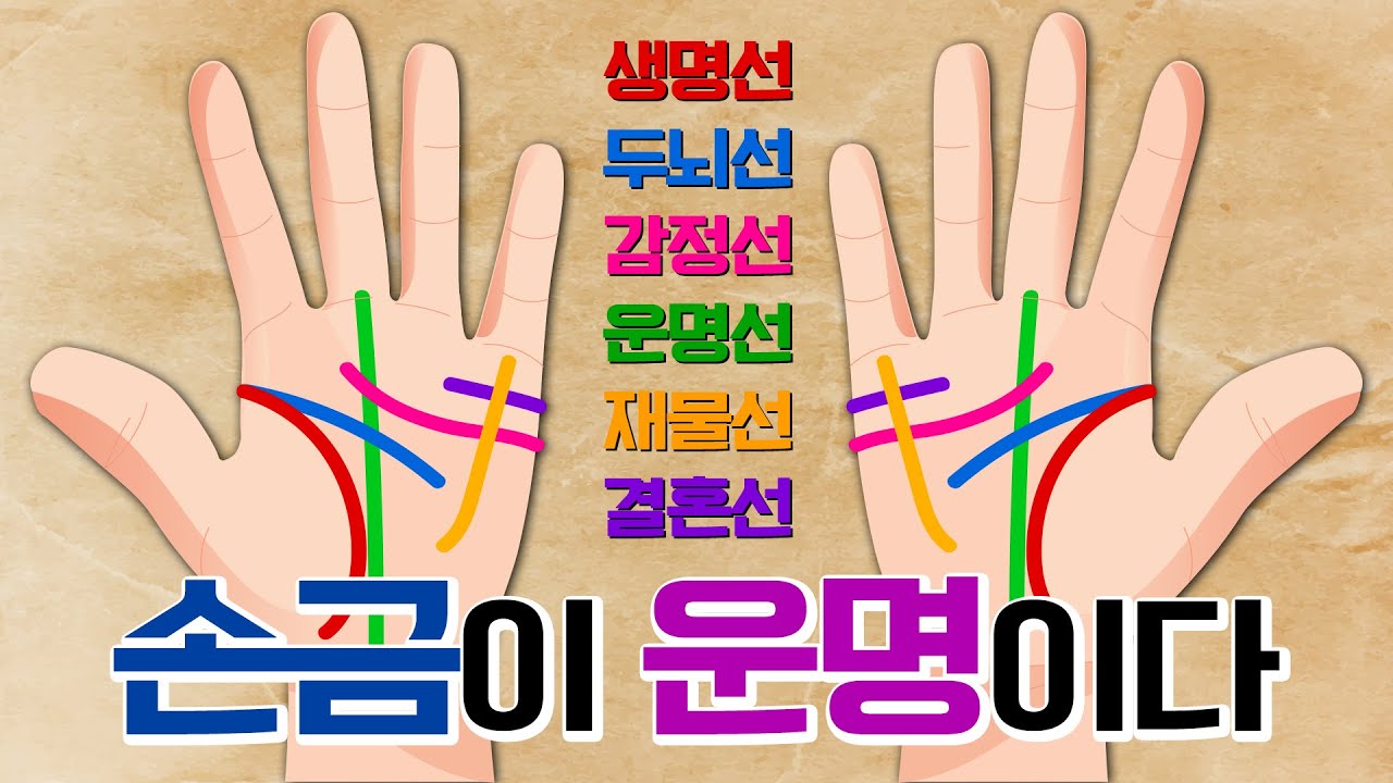손금이 운명이다! 손금보는 법 [내 손안에 작은 뇌, 손금 Full버전]