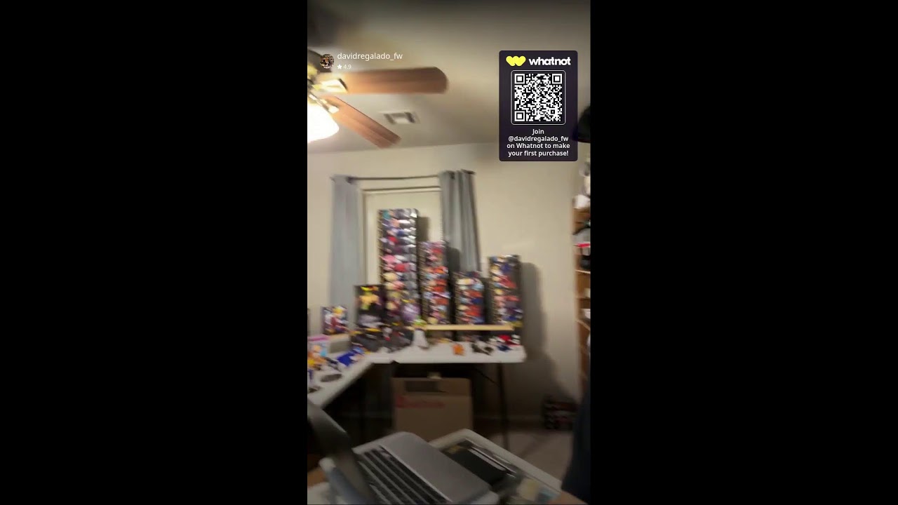 Insane DBZ Collector Auction! Toys, Figures, & More!