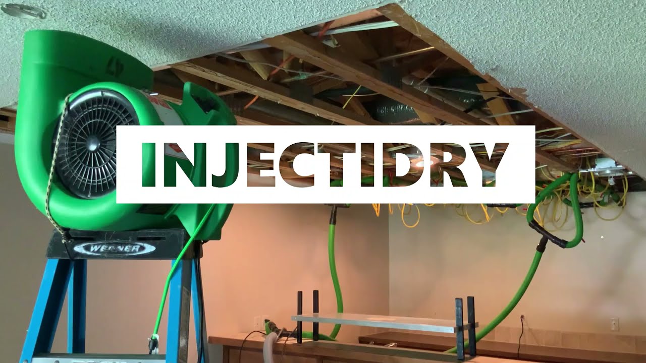 The Injectidry Process