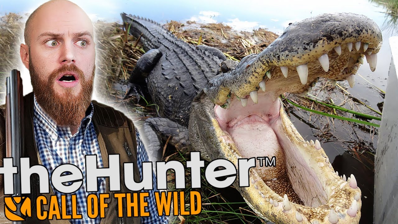 ON CHASSE L'ALLIGATOR ! DLC The hunter : call of the wild