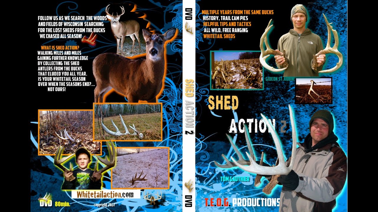 Shed Action 2 