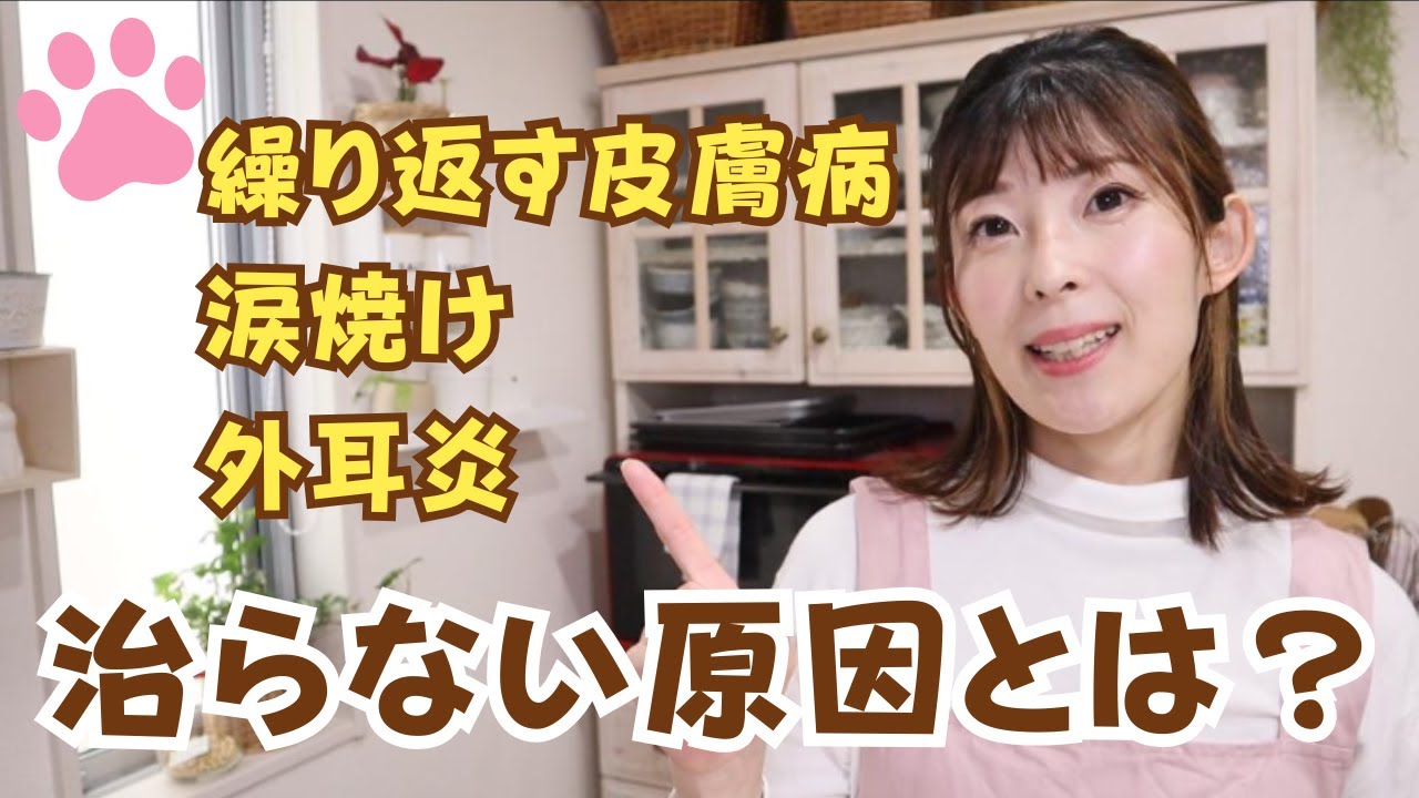 皮膚病が治らない！繰り返すメカニズム