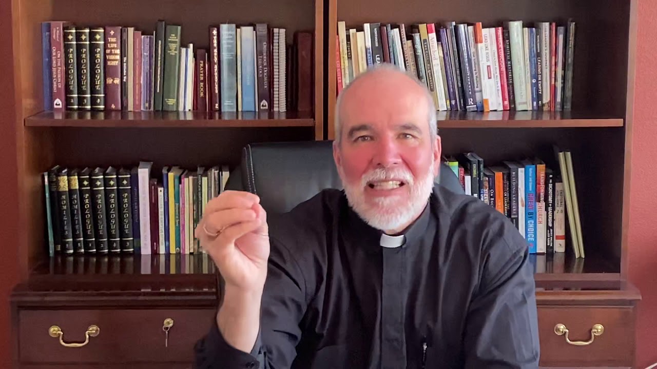 Fr. Theodore - Spiritual Immune System March 28, 2020
