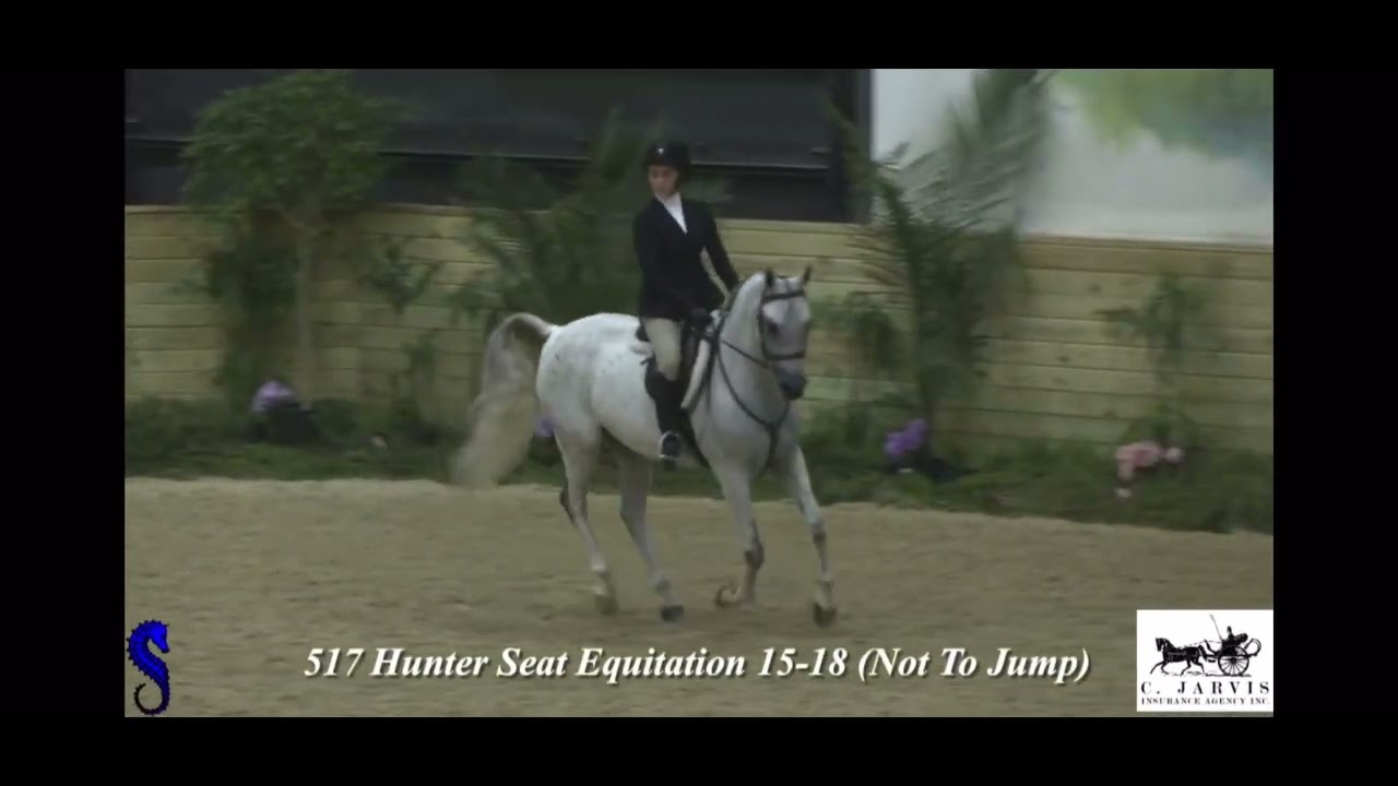 Region 14 Arabian Horse Show 2023