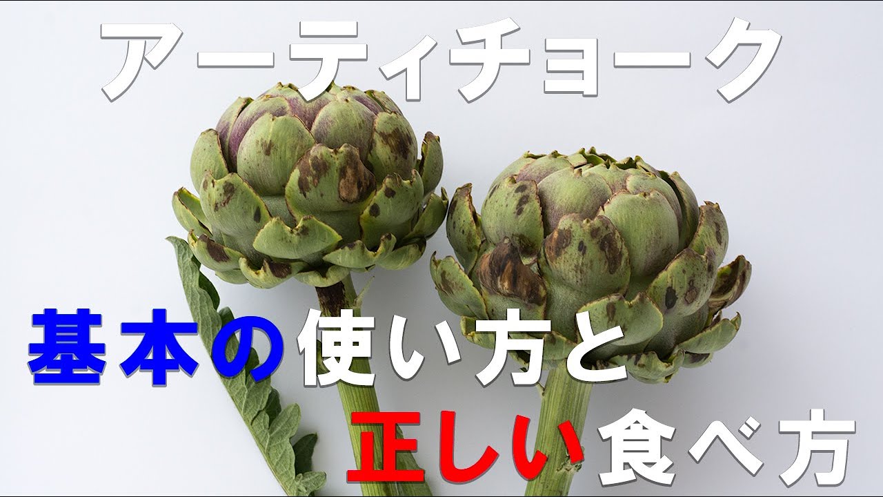 【アーティチョーク　基本の使い方と正しい食べ方】野菜ソムリエプロが動画で解説。アーティチョークの意外な食べ方、そして奥の深い楽しみ方。初アーティチョークの人におすすめです。
