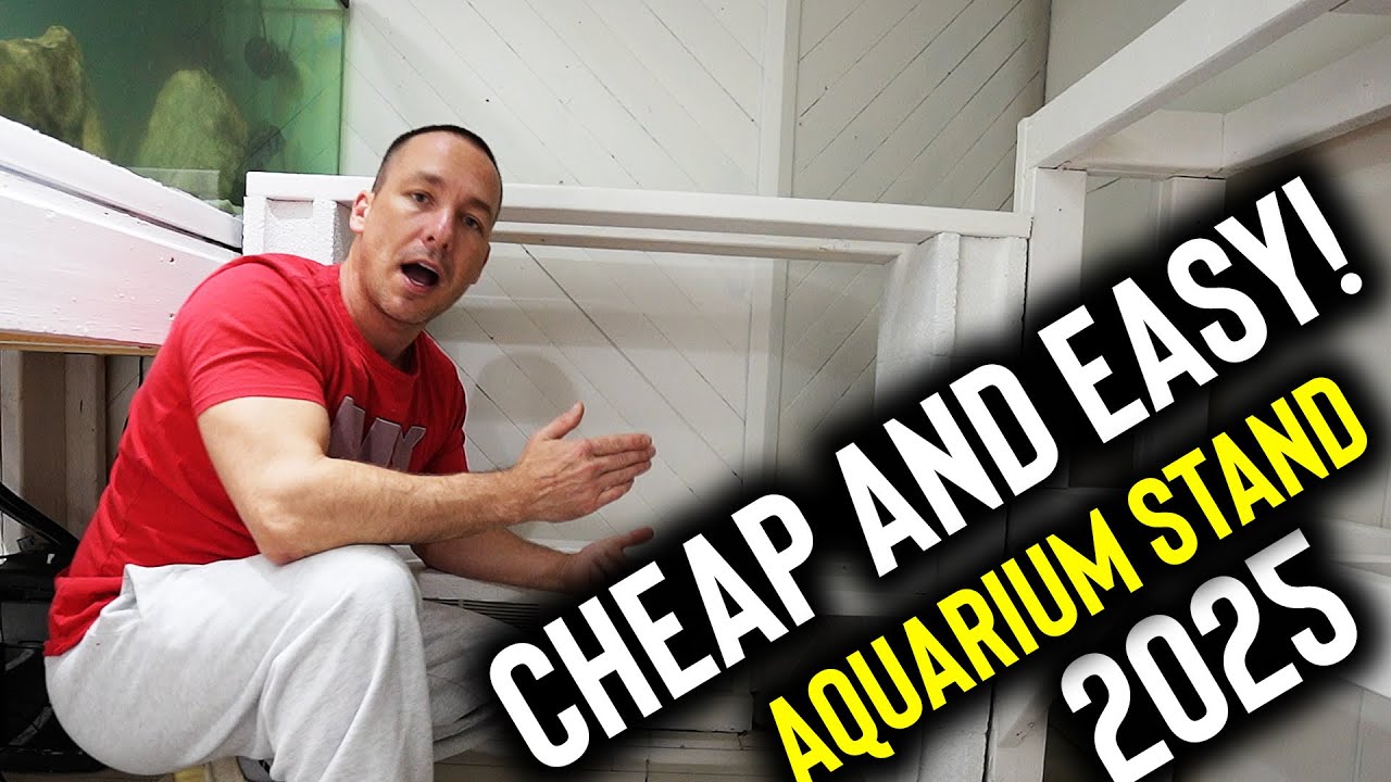 Cheapest and easiest DIY aquarium stand - 2025 - The king of DIY