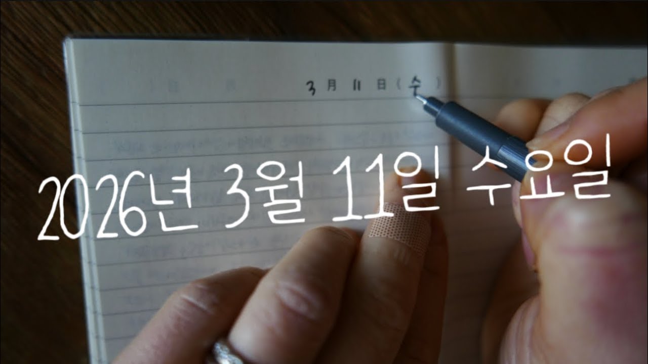 3월 11일 수요일 