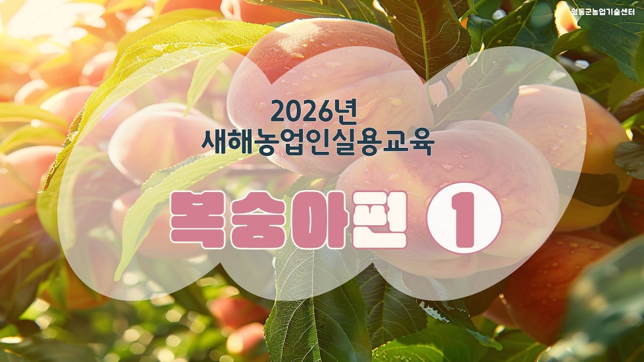 1. 복숭아 주요 병해 관리방안_세균구멍병 ㅣ 2026년 새해농업인실용교육