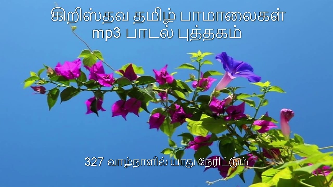 327 வாழ்நாளில் யாது நேரிட்டும்