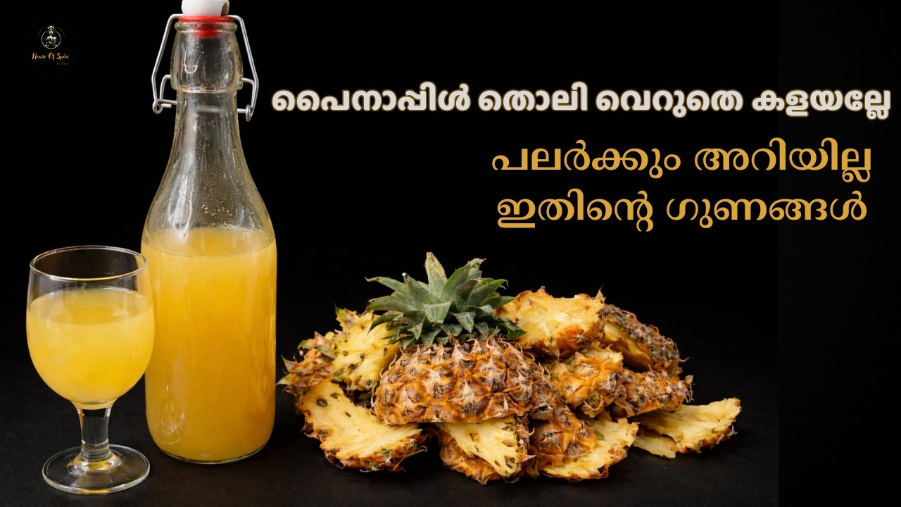 പൈനാപ്പിൾ തൊലി നിസ്സാരമല്ല 😱 ഇങ്ങനെ ചെയ്തുനോക്കൂ | Pineapple Probiotic Drink #food #guthealth