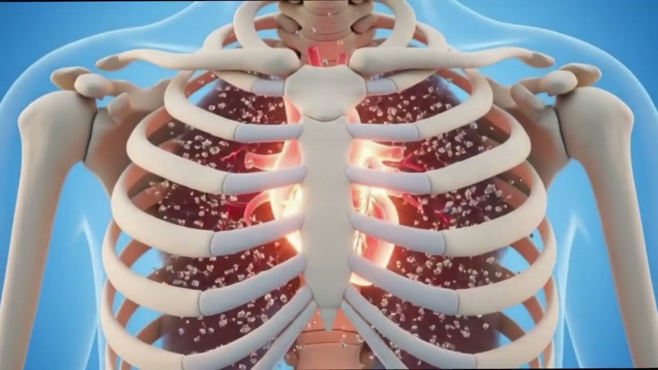 The 3-Inch IRON NAIL Hiding In Your Blood 🩸🔨 (The Science of Your Metallic Body)