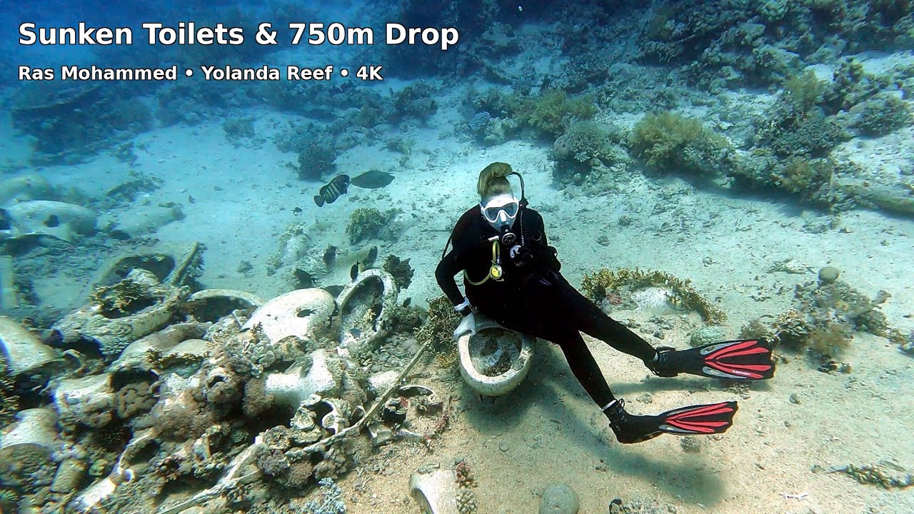 750m Reef Wall & Sunken Toilets — Ras Mohammed Dive in 4K (2025 Red Sea Dive)