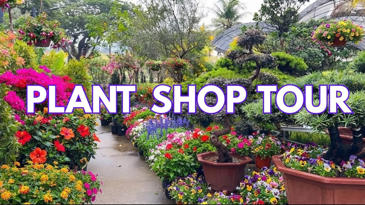 🪴A Walk Through Plant Shops | A Day at Greenery Plant Shop | Plant Lover Tour 🌱 🌿